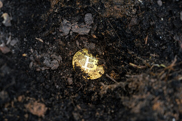 Golden bitcoin (btc) coins was buried under soil ground.Mining cryptocurrency money or disposing it...