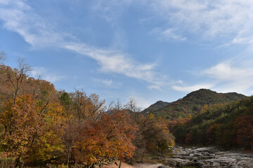 Beautiful autumn scenery in Hwayang-gugok, Korea