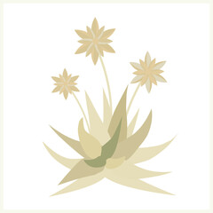 Aloe vera flowers seamless pattern.