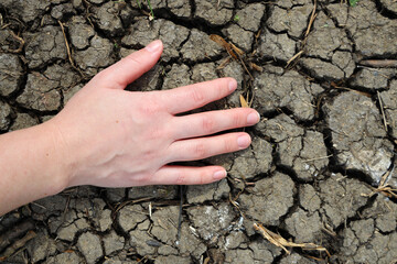 hand on dry cracked soil in drought 