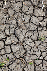 close up of drought 