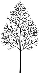 Vector illustration of the leafless tree
