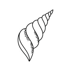 seashells or mollusca . sea creature. nautical or marine, monster or food. animals in the ocean. Vector illustration
