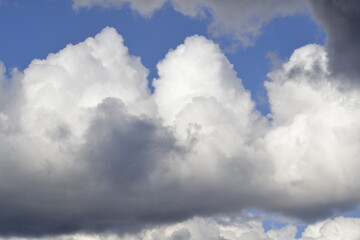 перед грозой