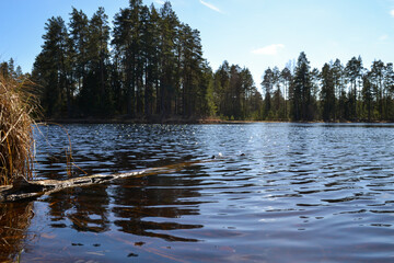 small forest lake in countryside with water reflections in calm water. place for meditation.