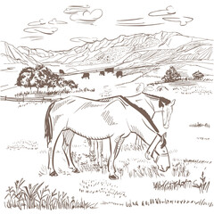 Naklejka premium Farm with horses and cows illustration. Cows and horses graze in the pasture. Rural view of farm animals