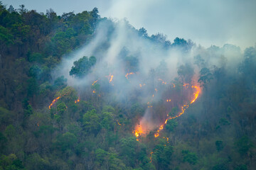 Forest fires on the mountain peaks in the evening look grim in Thailand, with large volumes of...