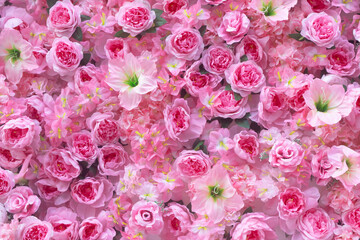 Pink flower background rose flowers wall for background and wallpaper