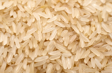 Rice.Grains. Raw rice grains in close-up. Healthy and balanced nutrition