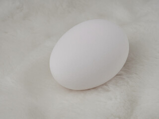 A white egg on a dark background. The concept of minimalism. Side view. A card with a copy of the place for the text.