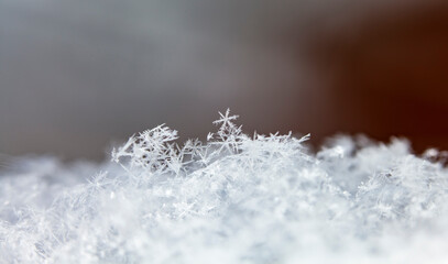 Snowflake in the snow, winter season