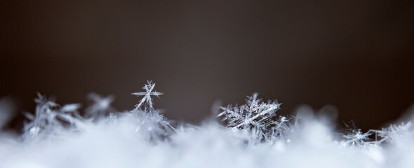 Snowflake in the snow, winter season