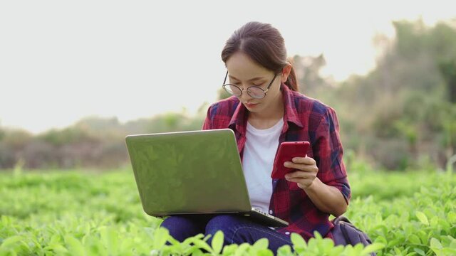 Young smart farmer using computer laptop check price of peanut from internet in her peanut field.