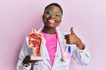 Young african american doctor woman holding anatomical model of respiratory system smiling happy...