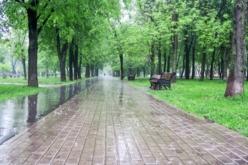 Heavy Rain and hail in the city on a summer day. Large puddles on the sidewalk during heavy rain....