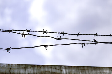Barbed wire immigration