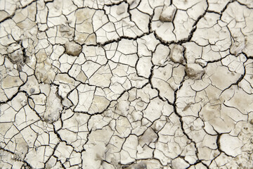 Cracked earth texture