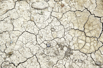 Cracked earth texture