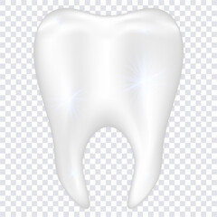 Realistic teeth isolated on transparent background. dental health and hygiene concept. vector illustration..