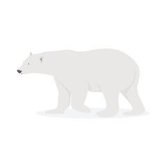 Polar bear vector art and graphics