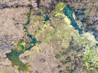 Swamp Marsh Land with Blue Spring