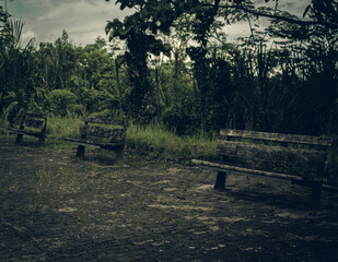 Fototapeta premium bench in the park