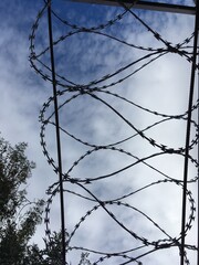 barbed wire fence, security, prison, fencing