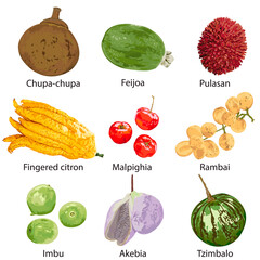 Fruits with their names on a white background. - 429837510