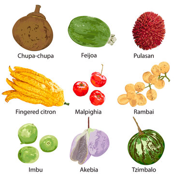 Fruits with their names on a white background.