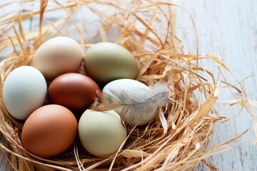 Organic eggs on dry grass close-up.