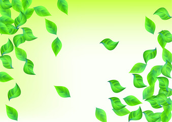 Green Leaves Swirl Vector Green Background Template. Ecology Greenery Banner. Swamp Foliage Blur Brochure. Leaf Tree Border.