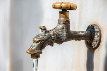 drinking street faucet antique bronze lion shape
