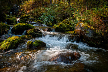 wild nature in summer, mountain river and small waterfalls, large stones overgrown with moss