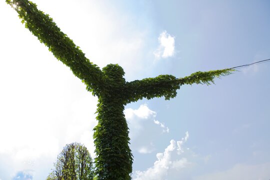 Crocifissione della natura