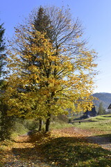 Pieniny national park, mountain, Poland, natural, 