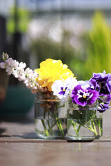 春の花　切り花