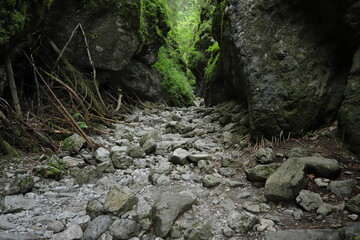 Great attraction Cracow Gorge near Koscieliska Valley in Tatra Mountains, Poland