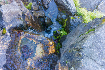 Botanical Garden Waterfall 4