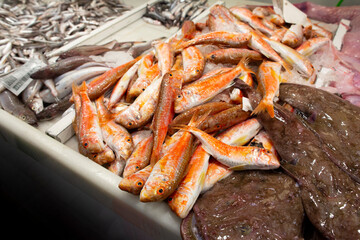 red mullet in the market