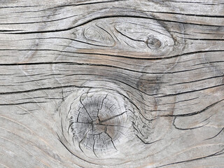 Natural texture of gray vintage pine board with fancy knot patterns