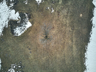 Pictures from small old village in Latvia