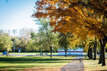 autumn in the park