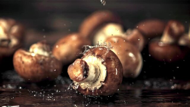 Super slow motion on the mushrooms drop water droplets. Against a dark background. Filmed on a high-speed camera at 1000 fps. - Powered by Adobe