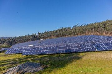 Field with photovoltaic panels on a summer day
