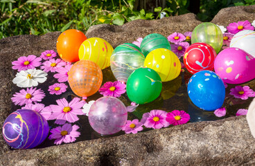 石造りの水槽に溜めた水に浮かべたコスモスのピンクの花、色取り取りの水風船。