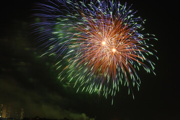 fireworks in the sky