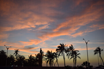 Fototapeta na wymiar Atardecer verde, azul y naranja y silueta de palmeras