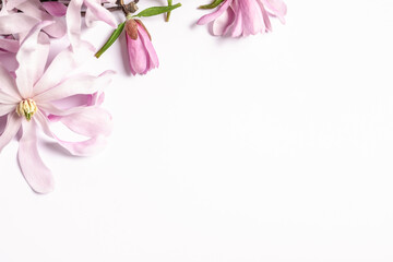 Beautiful magnolia flowers on white background, top view