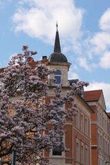 old church in spring