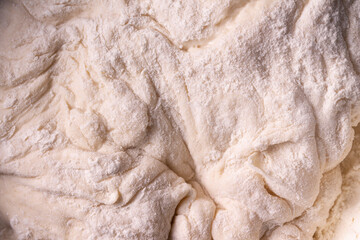 Dough made from flour and yeast. Food background. Close up.